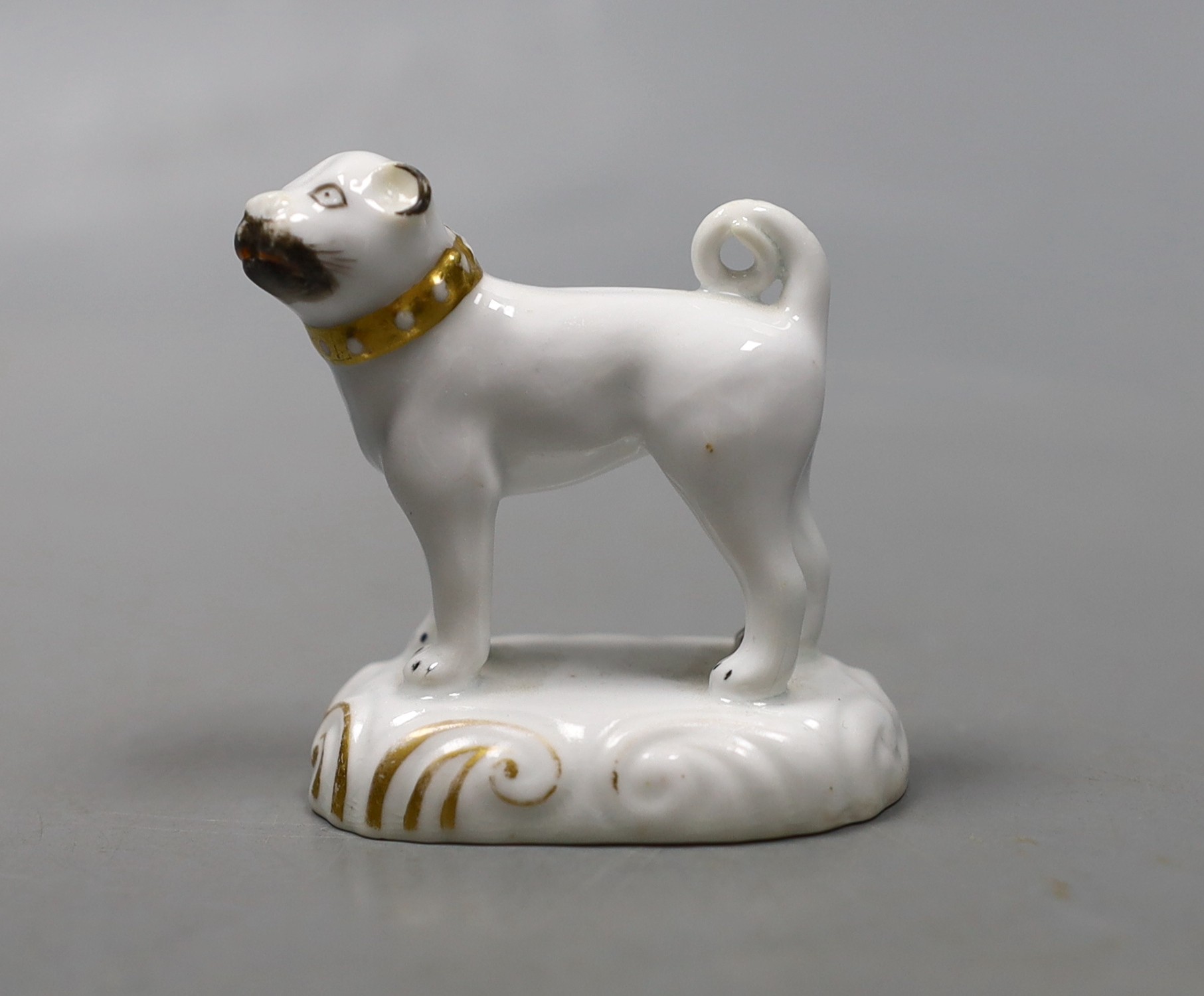 A rare Staffordshire porcelain model of a standing pug, c.1830–50, on a scroll moulded base, Provenance- Dennis G Rice collection